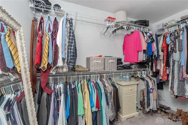 spacious closet featuring carpet flooring