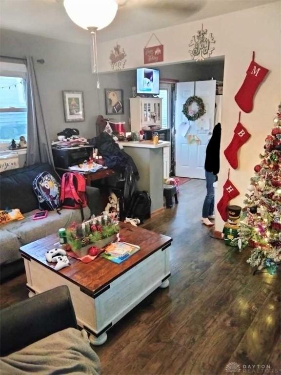 living room featuring dark hardwood / wood-style floors