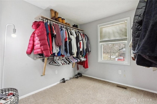 spacious closet with carpet flooring