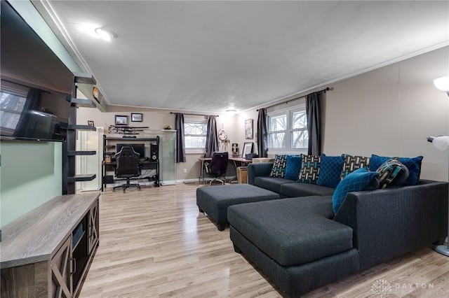 living room with ornamental molding and light hardwood / wood-style flooring