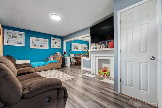 living room featuring hardwood / wood-style flooring