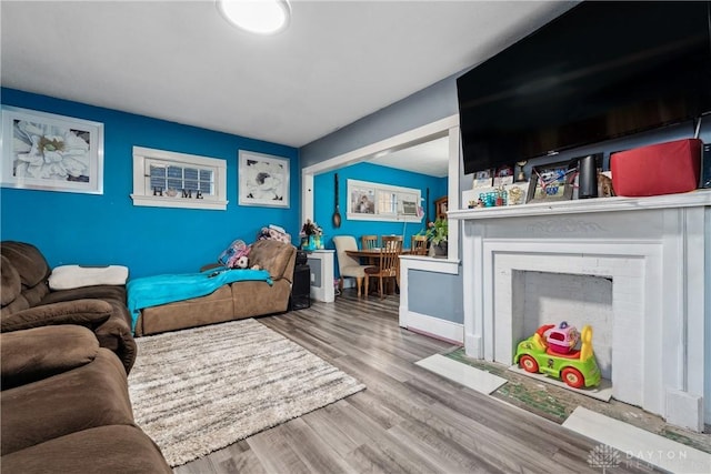 living room with hardwood / wood-style floors