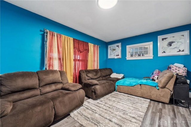 living room featuring wood-type flooring