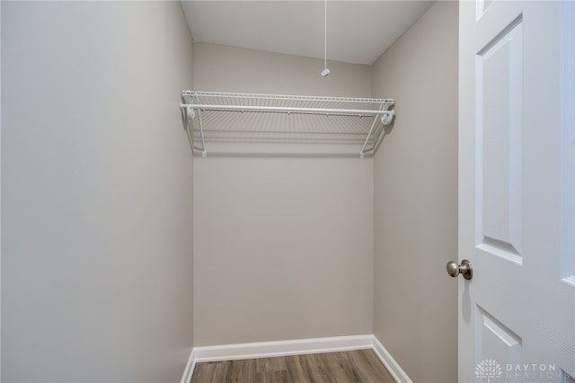 spacious closet featuring hardwood / wood-style floors