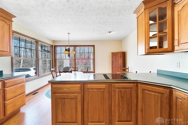 kitchen featuring hanging light fixtures, black electric stovetop, a textured ceiling, and light hardwood / wood-style floors