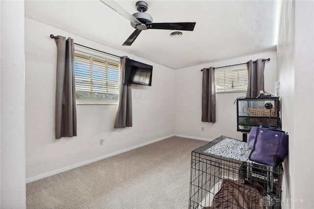 interior space with ceiling fan and a healthy amount of sunlight