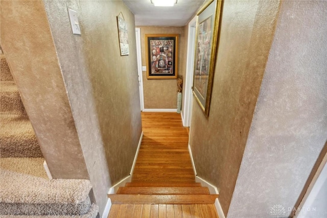 stairs with hardwood / wood-style flooring