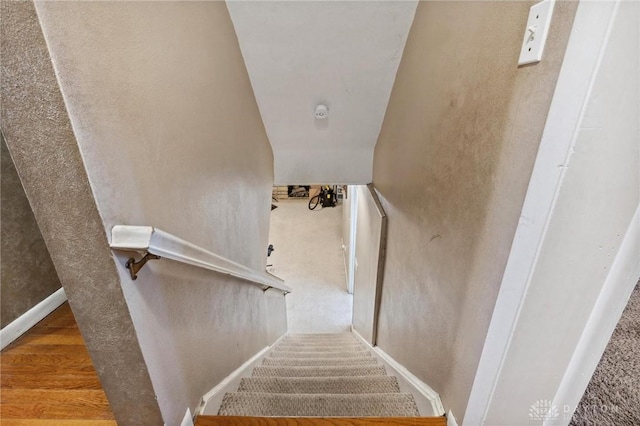 stairway with wood-type flooring