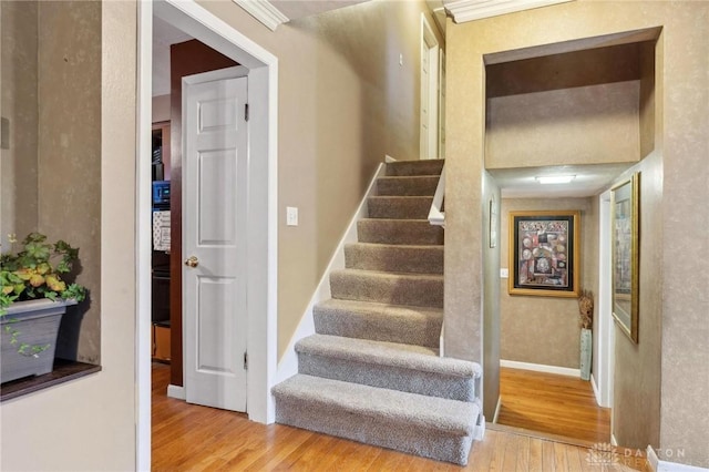 stairway with hardwood / wood-style floors