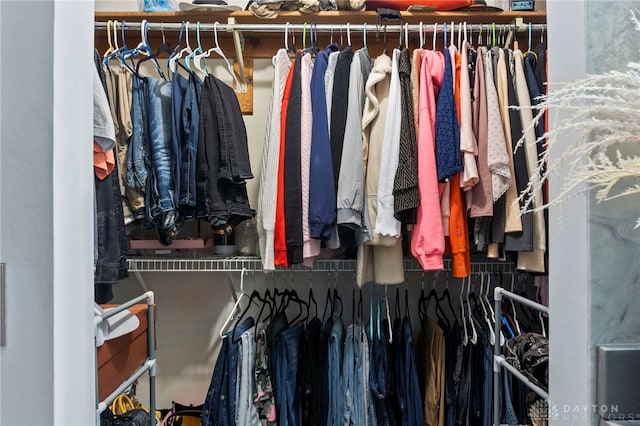 view of spacious closet