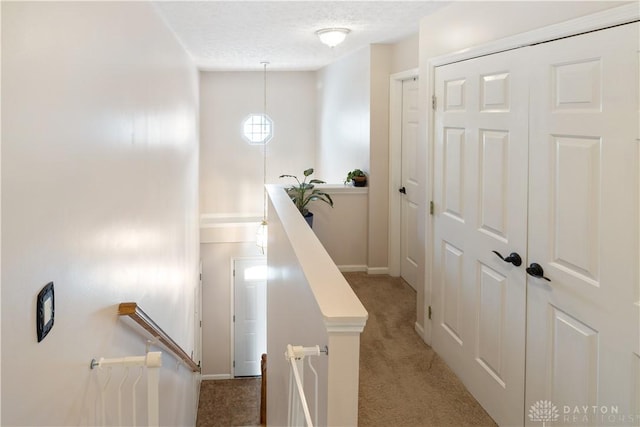 stairway with a textured ceiling and carpet