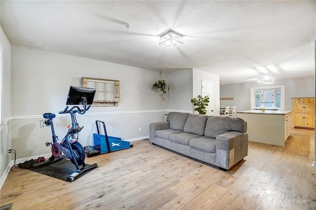 workout area featuring light wood-type flooring