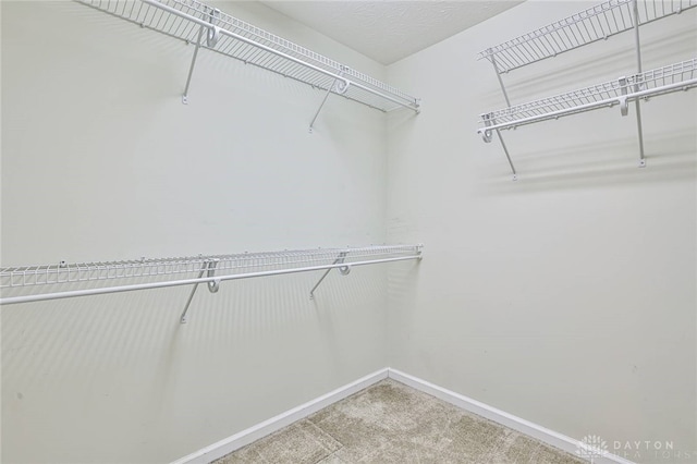 walk in closet featuring carpet floors