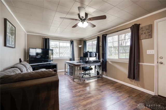 office area with ornamental molding, ceiling fan, and dark hardwood / wood-style flooring