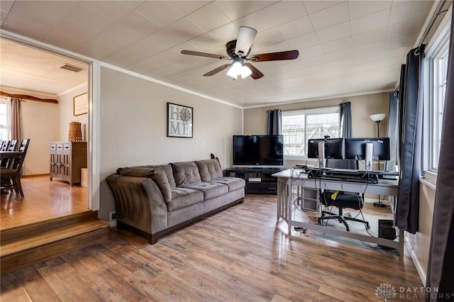 office area with crown molding, ceiling fan, and hardwood / wood-style floors