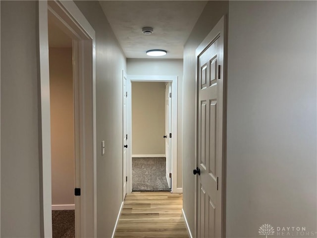 hall featuring light hardwood / wood-style floors