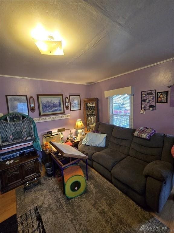 living room featuring wood-type flooring and ornamental molding