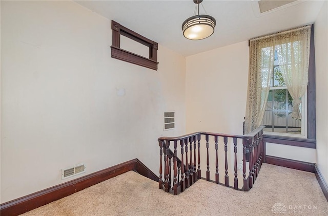 staircase featuring carpet