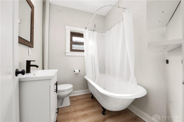 bathroom with vanity, wood-type flooring, and toilet