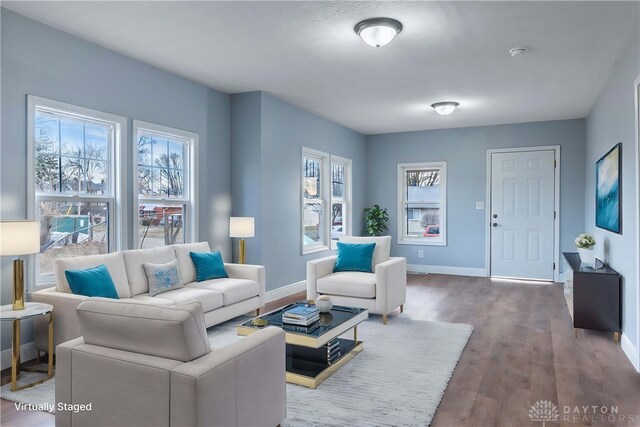 living room featuring wood-type flooring