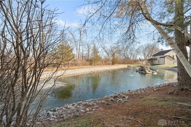 view of water feature