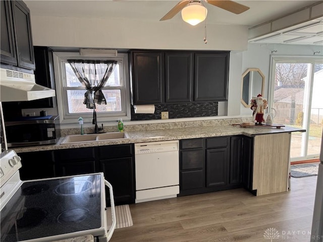 kitchen featuring ceiling fan, white appliances, light hardwood / wood-style floors, and sink