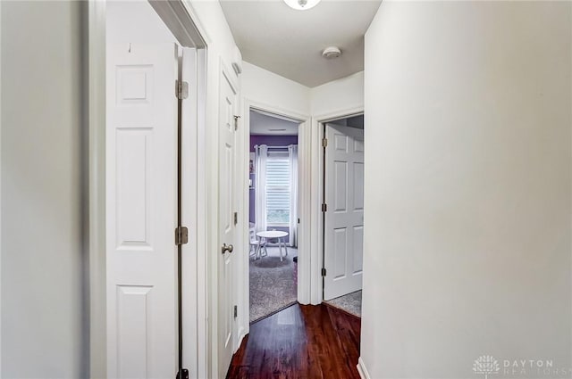 hall featuring dark hardwood / wood-style floors