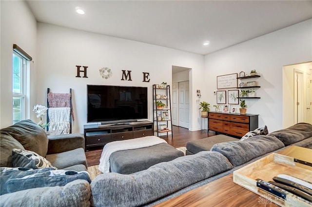 living room featuring dark hardwood / wood-style floors