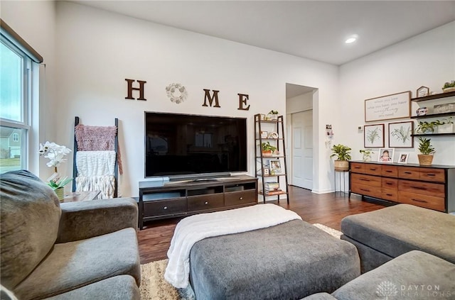 living room featuring dark hardwood / wood-style flooring