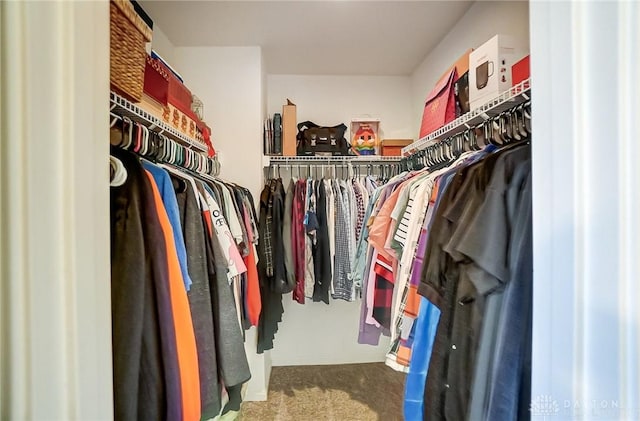 walk in closet featuring carpet