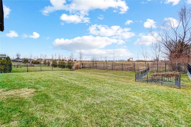 view of yard with a rural view