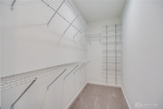 walk in closet with light carpet