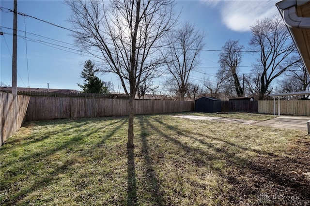 view of yard with a patio and a storage unit