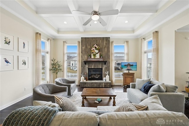 sitting room with a healthy amount of sunlight, dark wood-style floors, baseboards, and a large fireplace