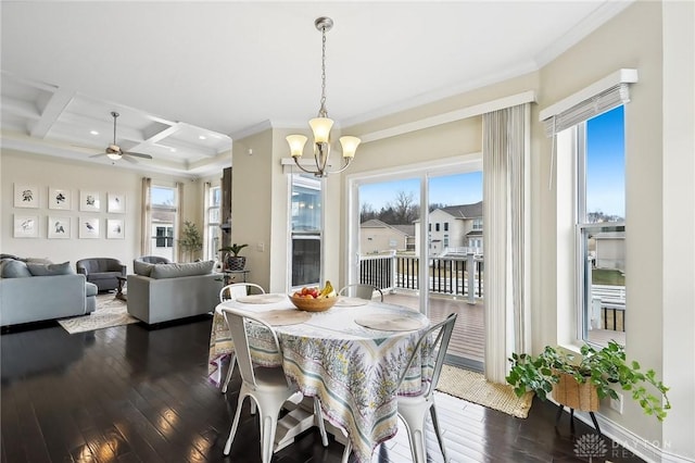 dining room with ceiling fan with notable chandelier, dark wood-type flooring, coffered ceiling, ornamental molding, and beam ceiling