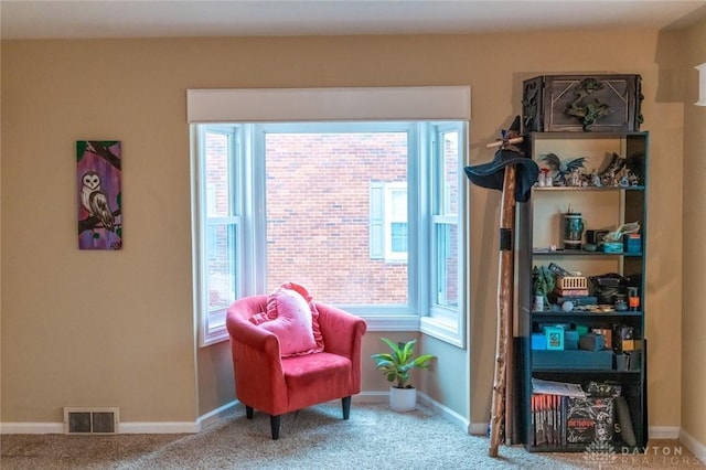 sitting room with carpet flooring