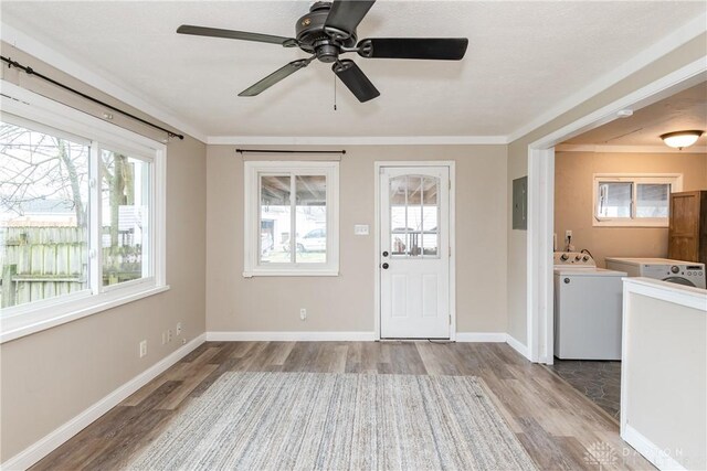 foyer with crown molding, electric panel, independent washer and dryer, and light hardwood / wood-style flooring