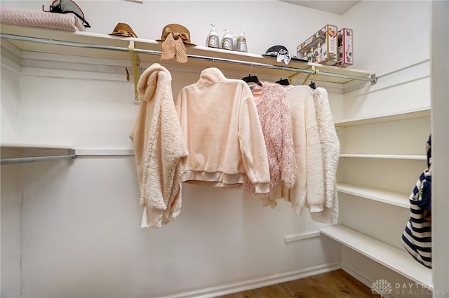 spacious closet featuring wood-type flooring