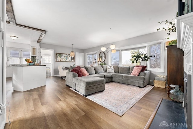 living room featuring hardwood / wood-style floors and a healthy amount of sunlight