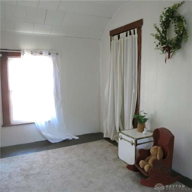 619 S Miami Ave, Sidney, OH 45365 - photo 11