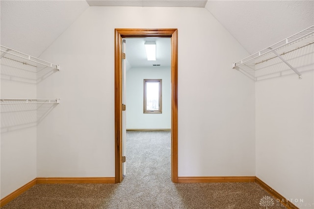 spacious closet featuring lofted ceiling and carpet