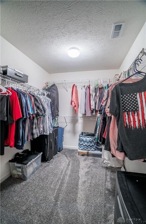 walk in closet featuring carpet