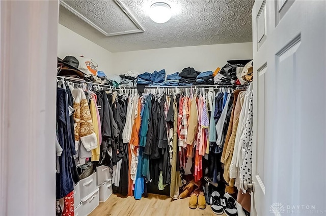 spacious closet with wood-type flooring