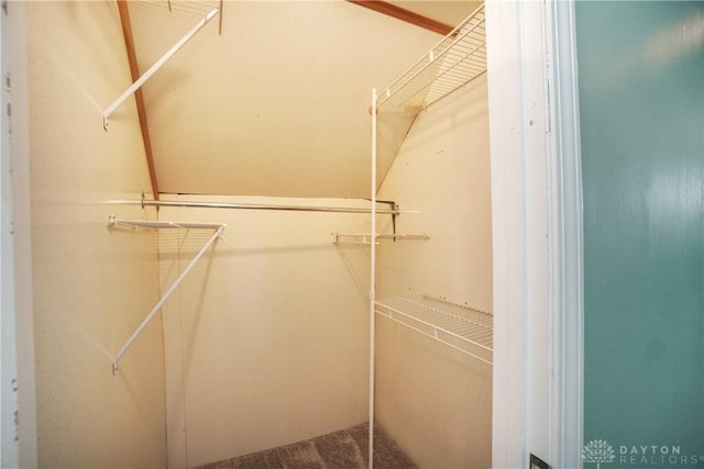 spacious closet featuring carpet flooring