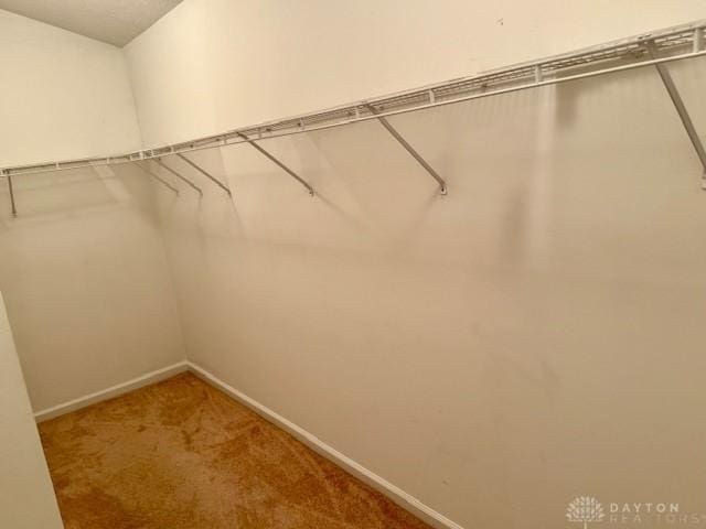 walk in closet with carpet