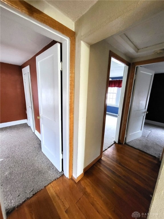 hall with dark hardwood / wood-style flooring