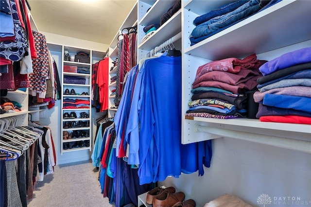 spacious closet with light carpet