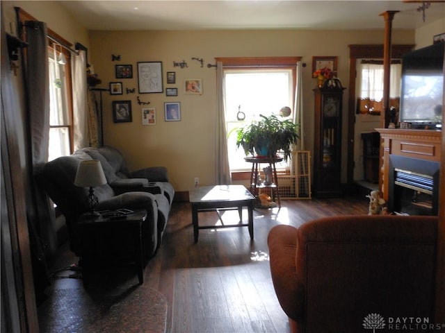 living room featuring hardwood / wood-style floors