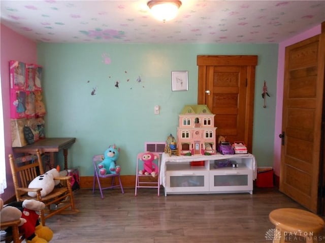 playroom featuring hardwood / wood-style floors