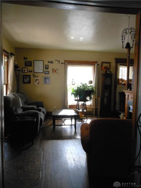 living room featuring hardwood / wood-style floors